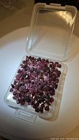 Clear plastic box containing multiple small natural rough garnet crystals with deep red color under bright lighting