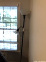 Full view of the standing floor lamp showing the tall black metal pole and the large frosted glass shade at the top with the smaller frosted glass shade on a curved arm.