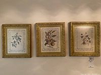 Photo of all three framed botanical prints hanging on a wall in a row, showing their size and frame details.