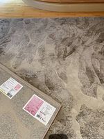 Top view of a large rectangular area rug with abstract, organic pattern in beige and taupe colors, placed on wood floor.