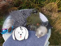 Overall view of all pet items displayed on a white surface with green plants background