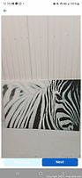 Full view of large zebra canvas print close to white panel wall showing overall pattern and condition.