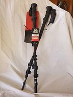Pair of black Yukon Charlie Carbon Trekker walking poles displayed vertically with tags attached