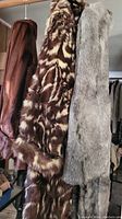 Four fur coats hanging on a rack with various fur types and colors shown.