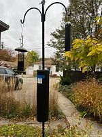 Full view of the black metal shepherd hook with two bird feeders hanging from curved arms, black raccoon baffle mounted on the pole, and a bird-shaped finial on top, set outdoors near plants and driveway.