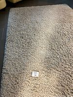 Full view of the beige shag area rug showing the thick pile and size