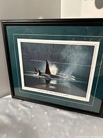 Framed picture titled 'Orcas of the West Coast' featuring orcas swimming in water with a black frame and teal matting.
