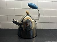Front three-quarter view of kettle showing body shape, spout and handle orientation