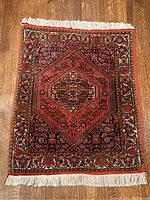 Full view of rug showing overall pattern and fringe