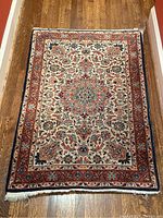 Full overhead view of entire rug showing overall design and fringe ends