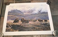 Full view of the unframed limited edition print showing muskoxen in a mountainous landscape scene.