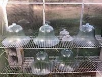 Five cloches on upper wire shelf (three large, two small) and two on lower shelf