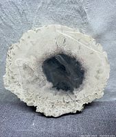 Top view of circular fossil slab showing cream-colored stone with natural edges and central black fossil spot.