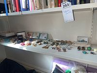 Wide view of shelf displaying costume jewelry items arranged in rows
