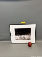 Framed photograph displayed on a gray surface with an apple for size reference. The frame is black with a white mat, showing a misty swamp scene with silhouetted trees.
