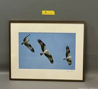 Framed photoscape art depicting three birds flying against a blue sky.