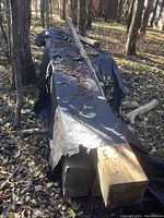 Tarp-covered stack of 6×6 posts under trees