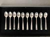 All ten spoons laid out side by side in black velvet tray