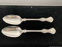 Two large serving spoons displayed side by side on black background