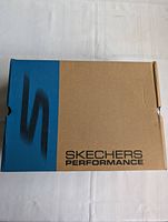 Skechers Performance branded shoe box showing logo and branding on lid.