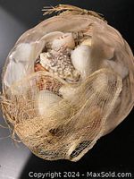 Photo of basket filled with assorted natural seashells covered with beige mesh fabric