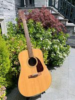 Full view of acoustic guitar with wooden body, natural finish, and tortoiseshell pickguard, standing in an outdoor garden setting.