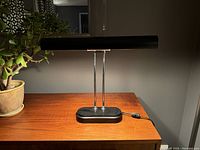 Front view of lamp showing black shade and base on wood surface with plant backdrop