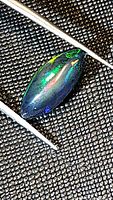 Close-up photo of marquis cabochon black opal with vivid bright green and blue flashes on black background held by tweezers on textured black surface.