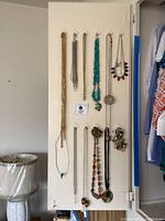 Full view of 11 costume jewelry necklaces hanging on a white door, showing variety of styles and colors.
