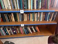 Shelf of psychology books showing many titles arranged on three wooden shelves