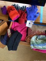 Gloves, hats, wraps, and sweater shown spread out with label and color details captured.