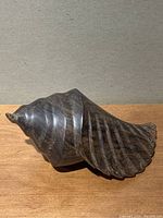 Photo of vintage wooden conch shell sculpture showing ridged detail and natural wood grain finish from one angle.
