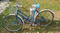 Full side view of teal women's bicycle with metal basket and white fenders, sitting on grass with fallen leaves.