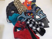 Photo showing various small dog harnesses and coats arranged on a white surface including two blue padded harnesses, one red harness, one blue patterned harness, and several coats in different prints and colors.