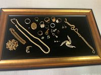 Photo showing a framed jewelry display with a variety of costume jewelry pieces including necklaces, bracelets, rings, brooches, earrings, and a locket pendant arranged on a black background.