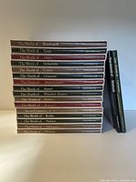 Photo showing all 16 volumes in slipcase plus 2 separate volumes from Time Life art book series with visible titles of artists and a survey/index volume.