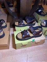 Side profile of right Naot Andes sandal, showing brown leather upper, strap with buckle, and cushioned footbed over Naot branded box.