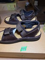 Side view of brown leather Naot Andes sandals on top of the Naot box.