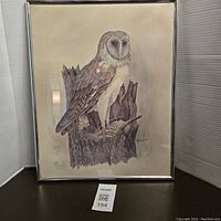 Framed print showing barn owl perched on a tree stump with clear details and muted tones.