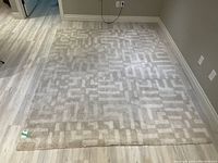 Full view of white and grey area rug on light wood floor, showing geometric pattern and minor spots