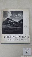 Front cover of dust jacket showing a black-and-white photo of mountainous terrain and sky, titled 'These We Inherit the Parklands of America by Ansel Adams'.