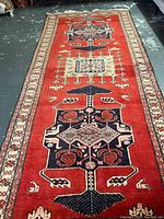Full-length view of runner rug showing overall design and color