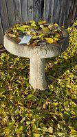 Full view of the cement bird bath resting on ground covered with fallen leaves, showing butterfly design details around the basin edge.