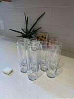 Photo of eight tall clear glass highball glasses arranged on a white countertop, approximately 7 inches tall and with 12 oz capacity, near a small plant and earbuds case for scale.