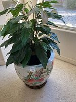 Large round ceramic pot filled with a green leafy plant, sitting on a wooden stand near a window.