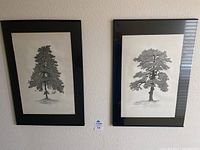 Two framed black and white tree illustrations mounted on a white textured wall, showing the lot visually.