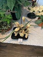 Close-up of silk orchid plant with cream flowers and adjoining greenery on carpet floor.