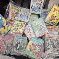 Photo showing a collection of vintage Big Little Books featuring classic cartoon characters including Bugs Bunny, Popeye, Road Runner, Batman, Woody Woodpecker, Tweety, and others, all in protective plastic covers.