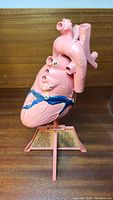 Front view of the anatomical heart model showing labeled external features and mounted on a stand with reference list.