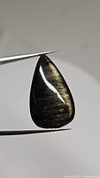 Single teardrop-shaped polished cabochon of golden sheen obsidian held with tweezers showing golden flash on dark surface.